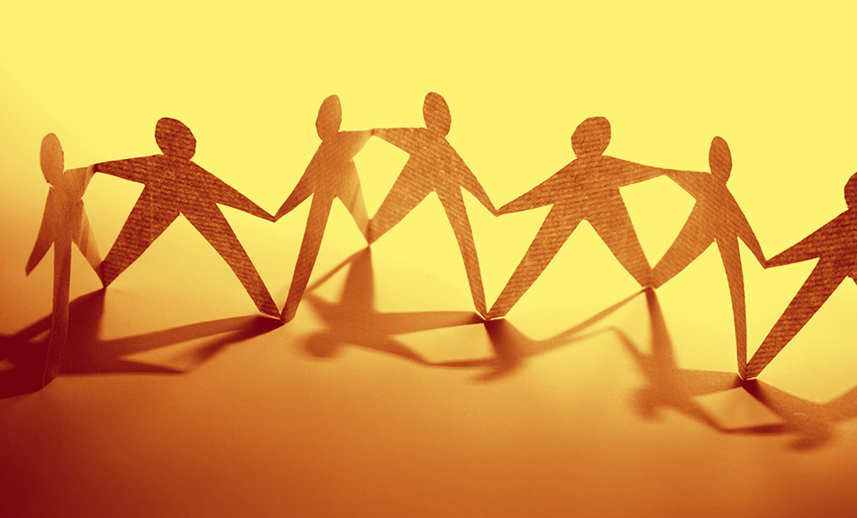 Improvement Network Reports